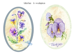 Thankyou  Pansies