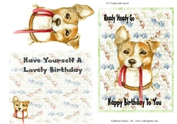 Little Pet Jack Russell Birthday