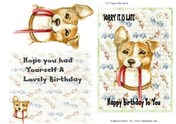 Little Pet late Birthday