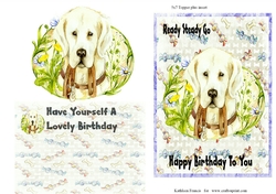 Pretty Boy Birthday