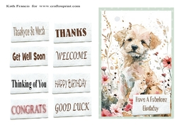 Bueatiful Dog  Birthday.