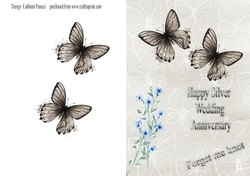Silver Wedding Anniversary