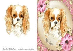 Spaniel   -  Happy Birthday
