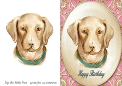 Labrador  -  Happy Birthday