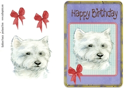 Birthday Dog