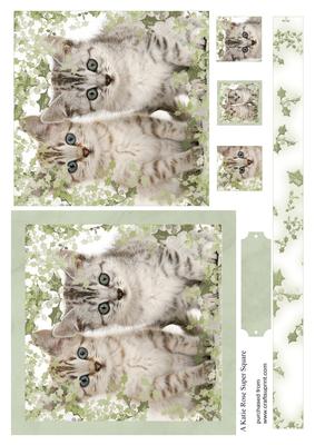 Holly Kitten Large Square Card Front