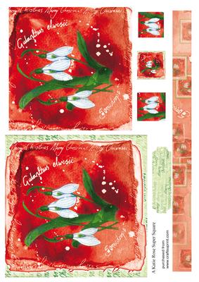 Xmas Floral Warm Wishes Large Square Card Front