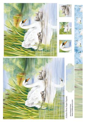 Meet the Family Swans Large Square Card Front