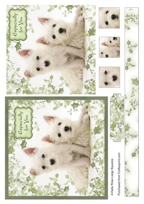Holly Westies Especially for You