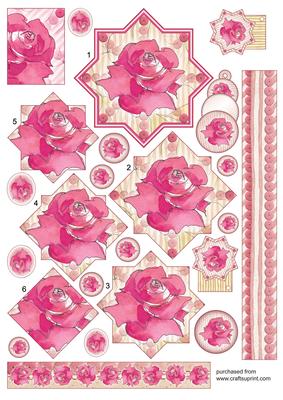 Pastel Rose