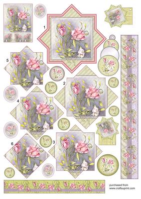 Pink Blooms