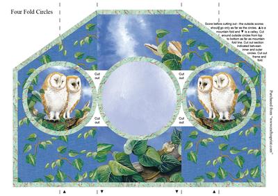 Four Fold Water's Edge "night Owls"