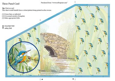 Three Fold Water's Edge "looking On" Kingfisher