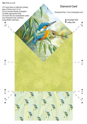 Diamond Water's Edge "looking On" Kingfisher Craft Sheet