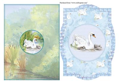 Picture Frame Water's Edge" Meet the Family Swans Quick Card