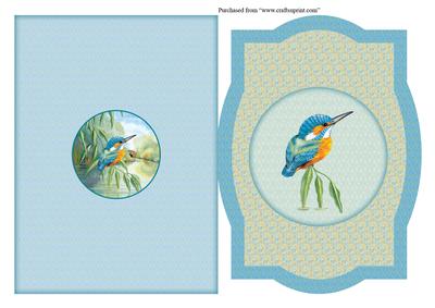 Picture Frame Water's Edge "looking On" Kingfisher