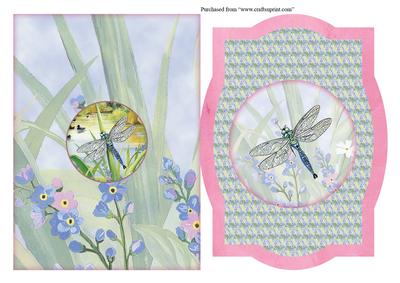 Picture Frame Water's Edge "drangonfly Days" Quick Card
