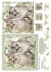 Holly Kitten Large Square Card Front
