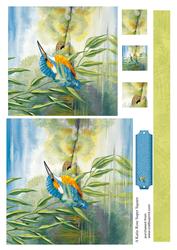 Looking on Kingfisher Large Square Card Front