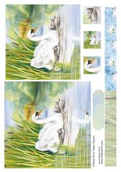 Meet the Family Swans Large Square Card Front