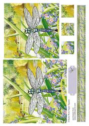 Dragonfly Days Large Square Card Front