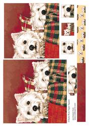 Good Friends Westies Large Square Card Front