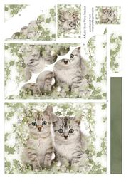 Holly Kitten