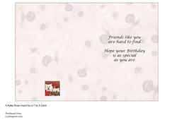 Good Friends Special Friend Insert 7 by 5