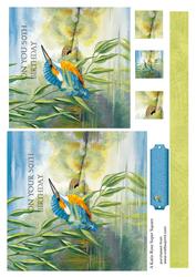 Looking on Wtf 6 by 6 Card Front