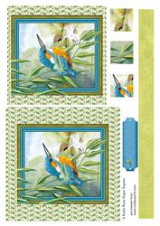 Looking on 6 by 6 Square Card Front Blank