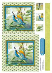 Looking on 6 by 6 Square Card Front Especially for You