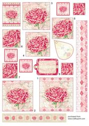 Pink Carnation