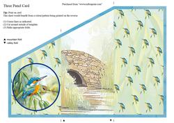 Three Fold Water's Edge "looking On" Kingfisher