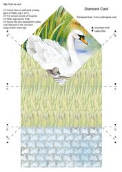 Diamond Water's Edge "meet the Family" Swans Craft Sheet
