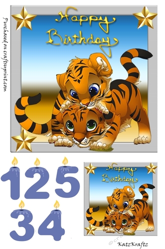 Twin Tigers Birthday (ages 1-5)