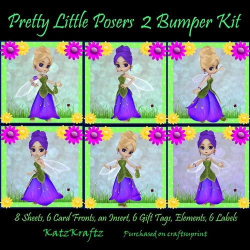 Pretty Little Posers 2 Bumper Kit