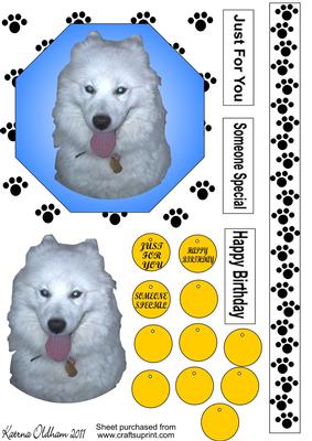 Samoyed Card Front