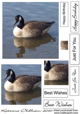 Goose Pyramid 1