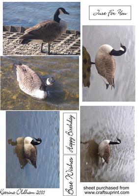 Goose Toppers