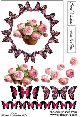 Rose and Butterfly