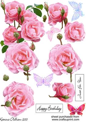 Roses for You