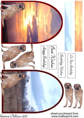 2 x Dog with Arched Background