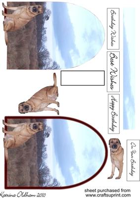 Dog in Front of Arched Background 2
