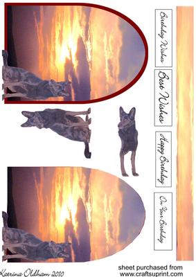 Black Dog Sitting in Front of Scenic Background 2