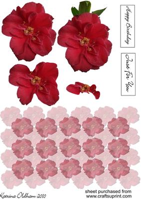 Red Flower Step by Step with Backing