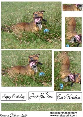 Grinning Staffordshire Bull Terrier Dog Pyramid