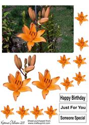Lilly Flower Sheet