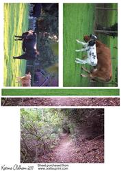 Cow and Scenic Toppers
