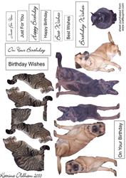 Cats and Dogs