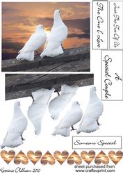 Doves at Sunset